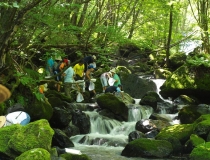 川の虫に聴く・水の中の住みごこち！