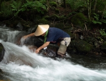 川の水に聴く水の中のすみごこち！