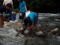 川の虫に聴く・水の中の住みごこち！