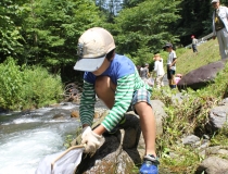 川の虫に聴く、水の中の住みごこち！