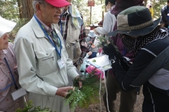 城山史跡の森の珍しい植物を観よう！