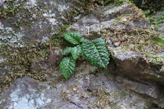 IMG_0123 IMG_0123