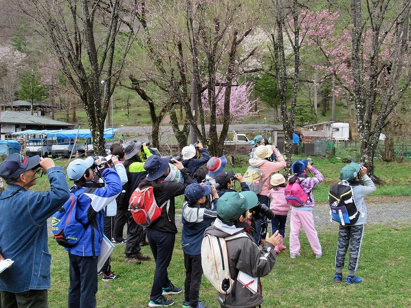 夏鳥を観察しよう！