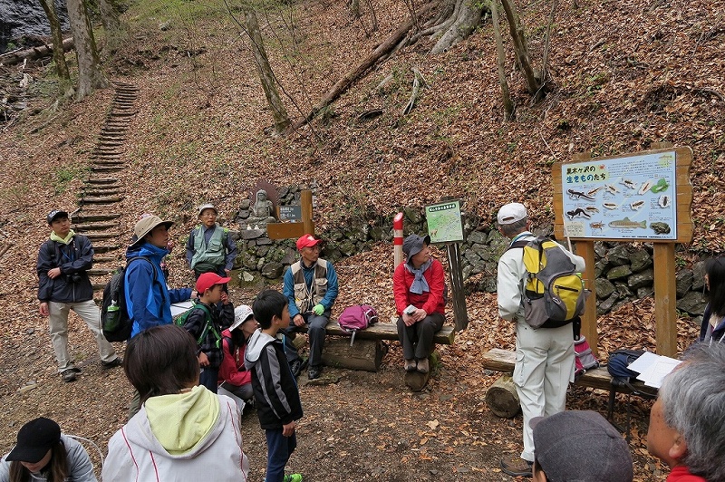 城山史跡の森の珍しい植物を観よう！