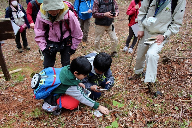 城山史跡の森の珍しい植物を観よう！