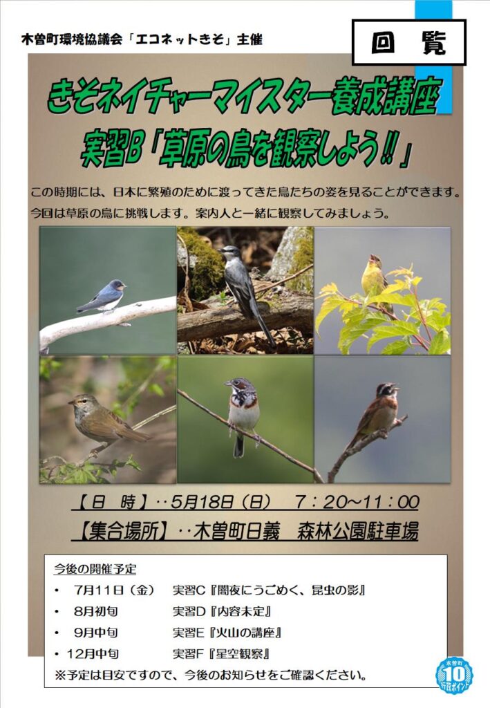 参加者募集　きそネイチャーマイスター養成講座　実習B「草原の鳥を観察しよう！！」