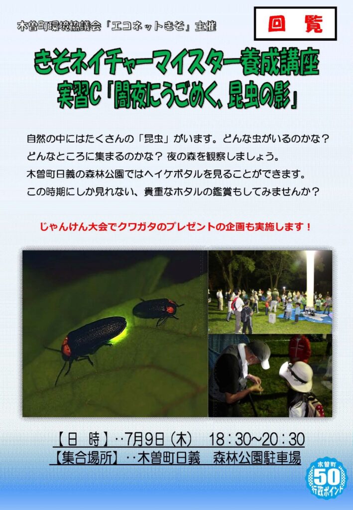 【参加者募集】ネイチャーマイスター養成講座C「闇夜にうごめく、昆虫の影」