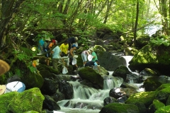 川の虫に聴く・水の中の住みごこち！