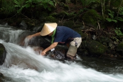 川の水に聴く水の中のすみごこち！