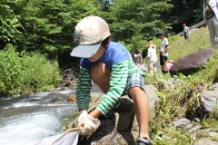 川の虫に聴く、水の中の住みごこち！